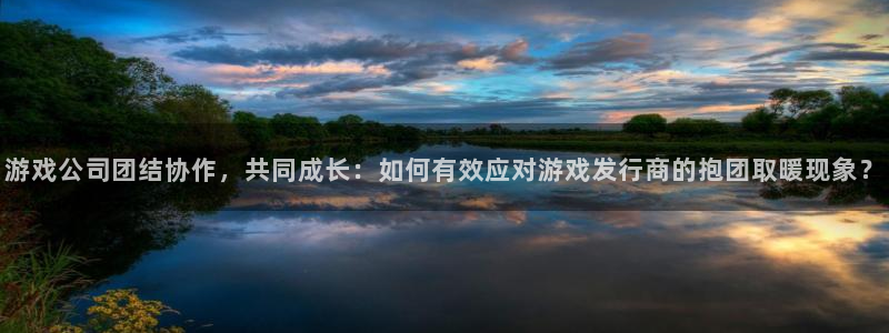 亿万28电商怎么样知乎：游戏公司团结协作，共同成长：如何有效应对游戏发行商的抱团取暖现象？