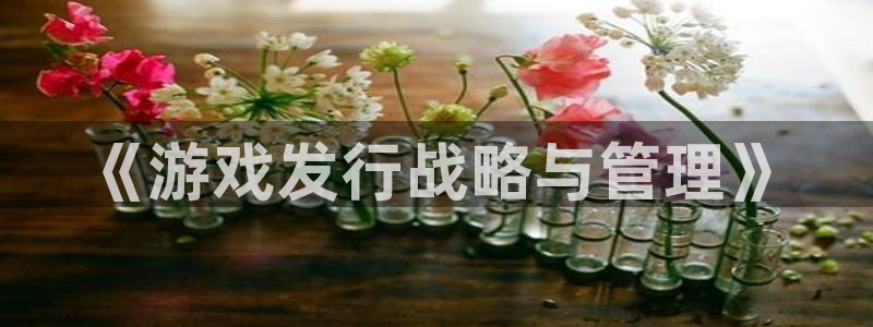 亿万28电子商务有限公司电话：《游戏发行战略与管理》