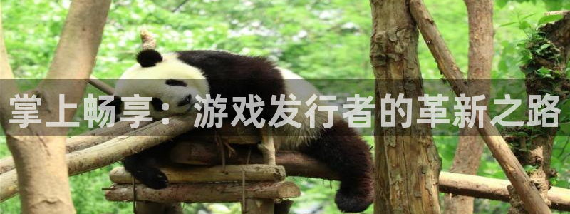 亿万28官网注册方法视频：掌上畅享：游戏发行者的革新之路