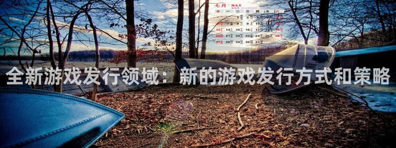 亿万28子最好看的小说：全新游戏发行领域：新的游戏发行方式和策略
