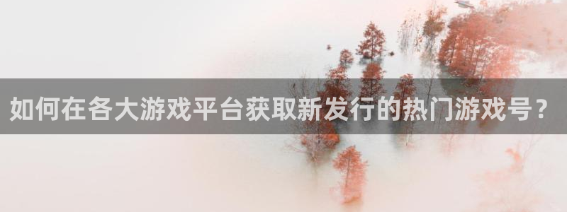 广东亿万28电商bruno：如何在各大游戏平台获取新发行的热门游戏号？