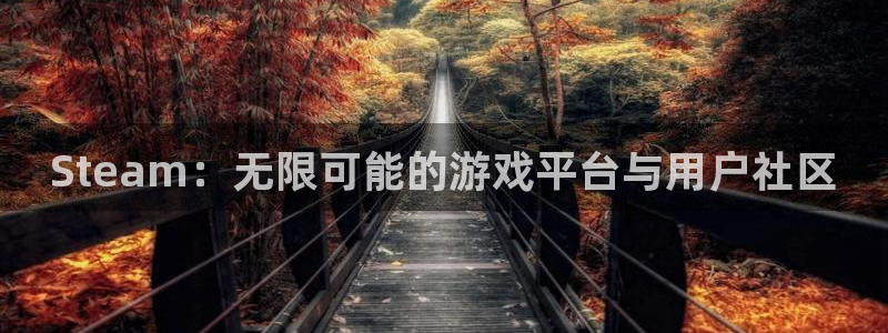 陕西省西安市亿万28子文化创意：Steam：无限可能的游戏平台与用户社区