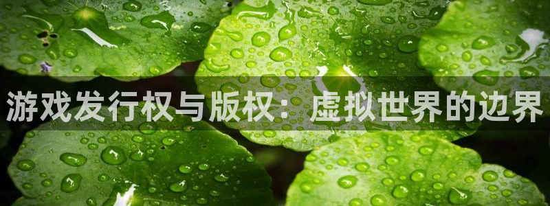 重庆亿万28子文化传播有限公司：游戏发行权与版权：虚拟世界的边界