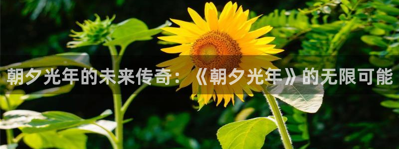 亿万28官网平台代理条件：朝夕光年的未来传奇：《朝夕光年》的无限可能
