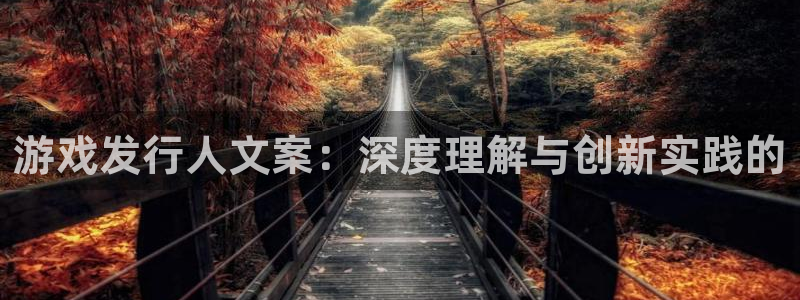 亿万28官网客服电话：游戏发行人文案：深度理解与创新实践的