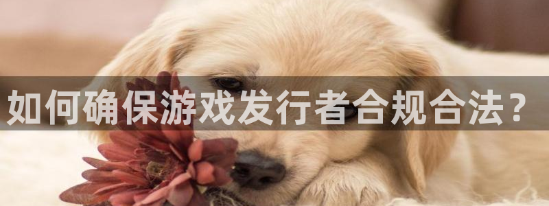 亿万28男装品牌：如何确保游戏发行者合规合法？