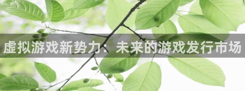 亿万28品牌logo：虚拟游戏新势力：未来的游戏发行市场