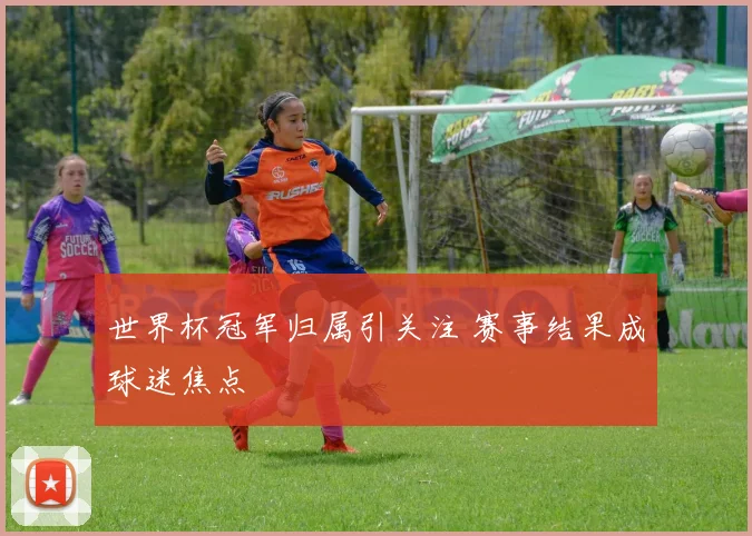 世界杯冠军归属引关注 赛事结果成球迷焦点