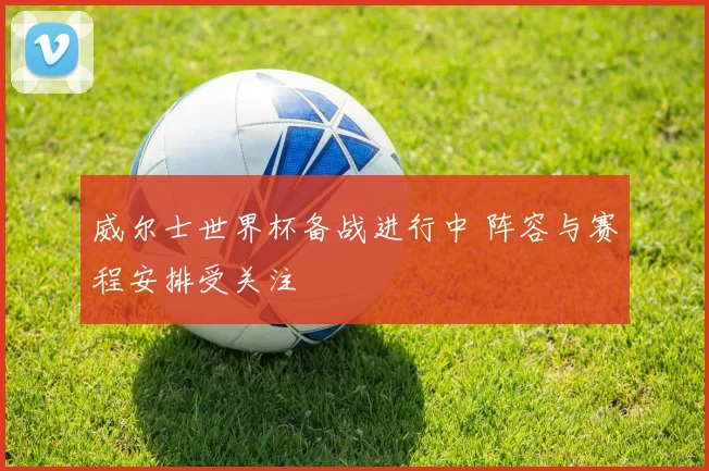 威尔士世界杯备战进行中 阵容与赛程安排受关注