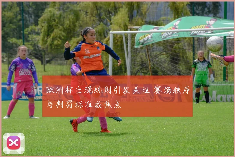 欧洲杯出现规则引发关注 赛场秩序与判罚标准成焦点