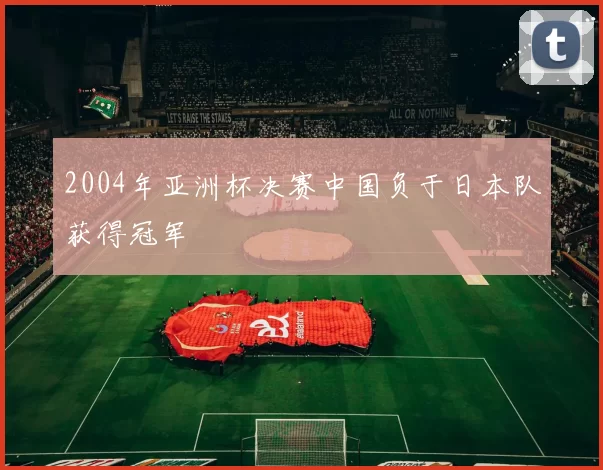 2004年亚洲杯决赛中国负于日本队获得冠军